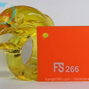 FS 266 MICA CAM