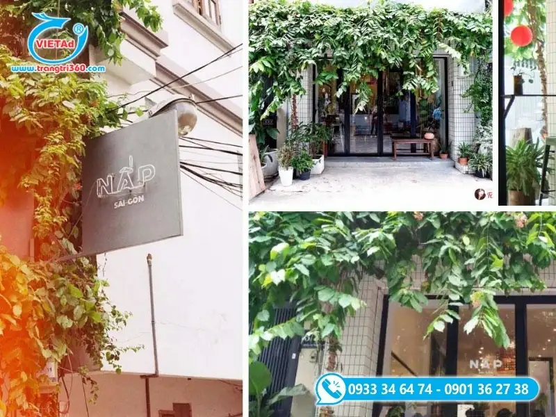 Căn nhà phố được cải tạo làm homestay tại trung tâm đô thị
